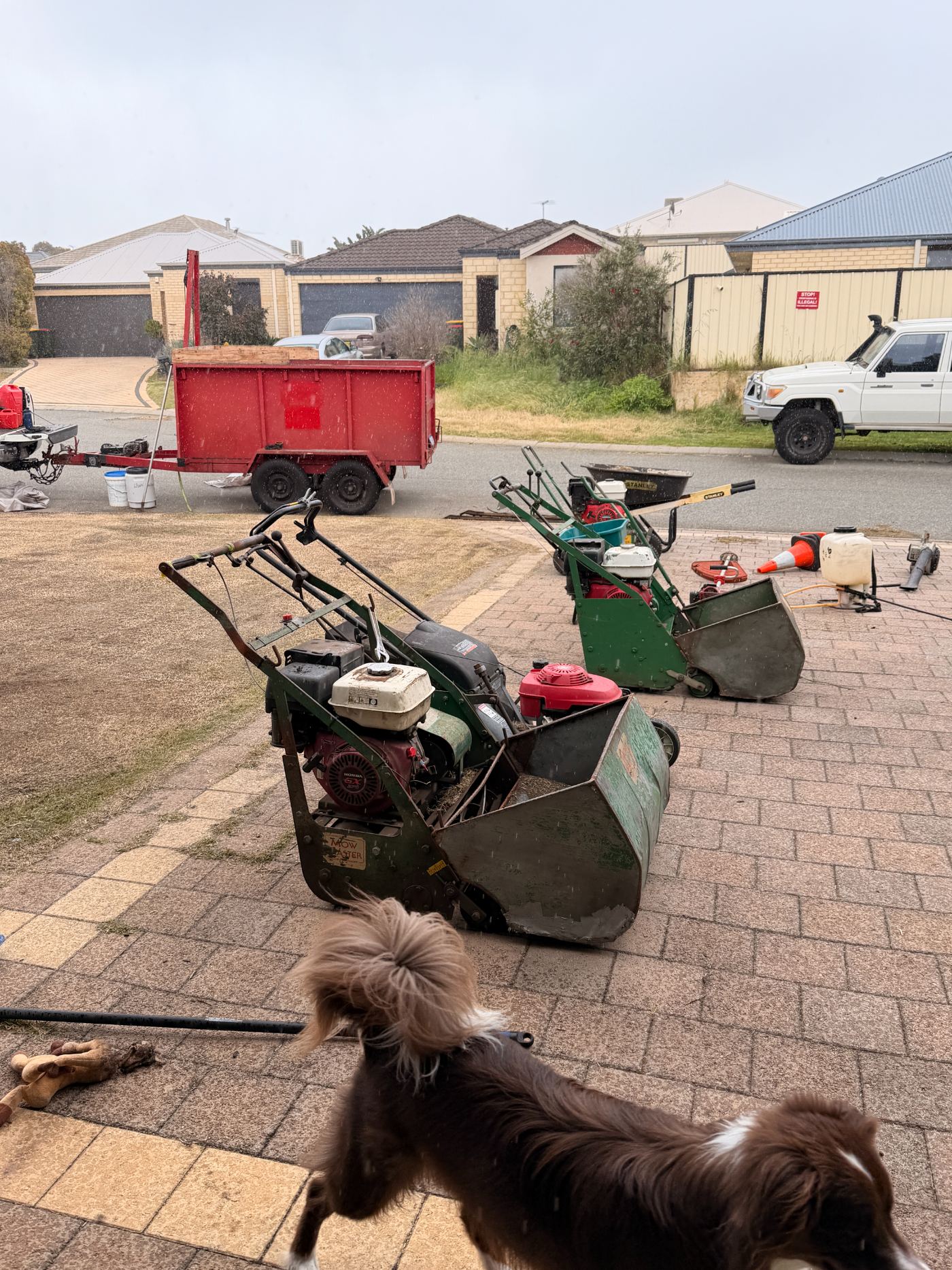 Our verti-mowers and renovation machines lined up ready for work