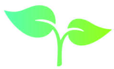 Perth Lawn Renovation Services sprout logo