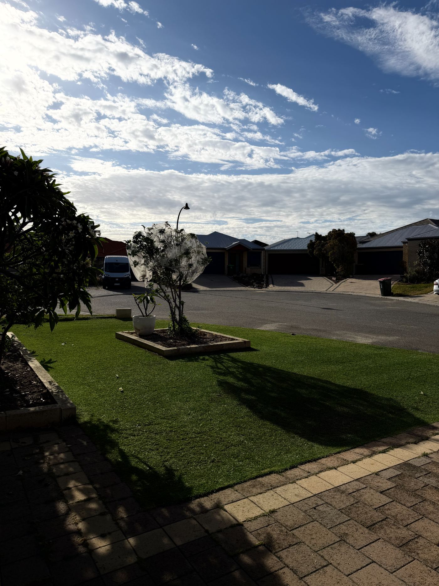 After renovation — thick green lawn